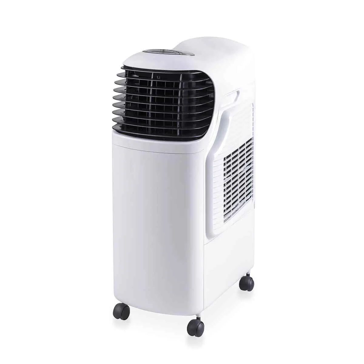 Whynter ARC-12S Tower